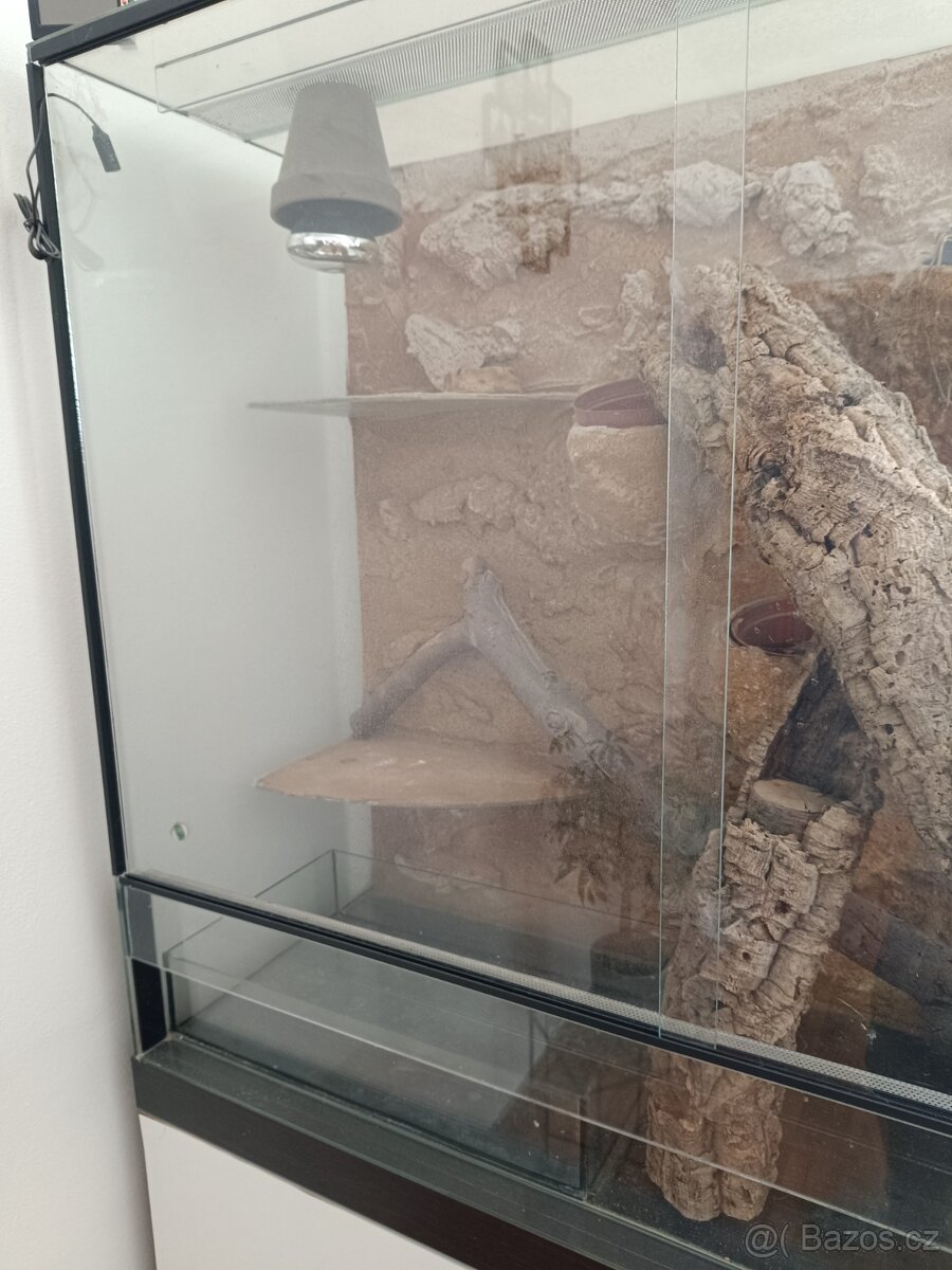 Prodám terárium - 4