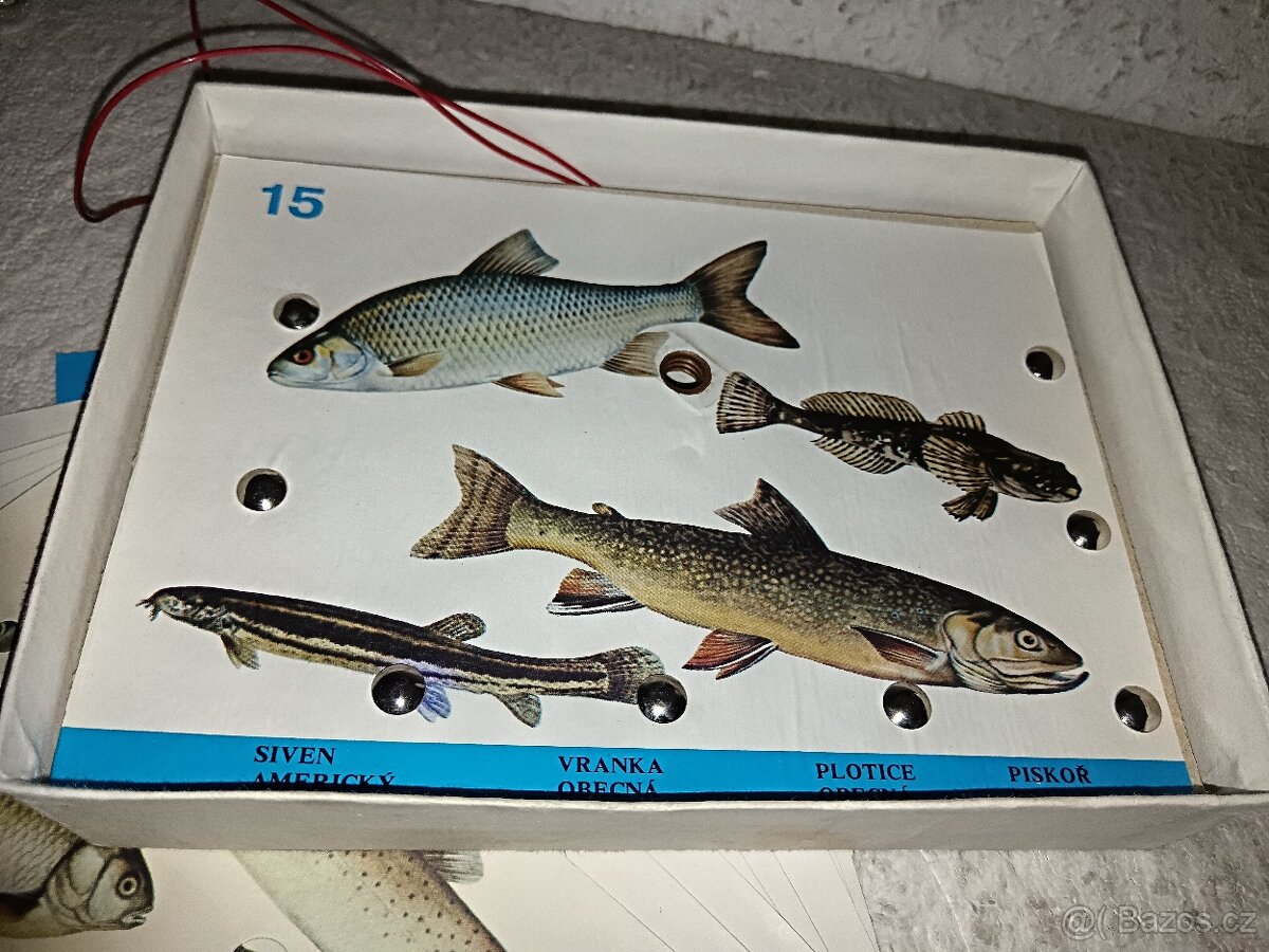 Testovací hra-Ryby - 4