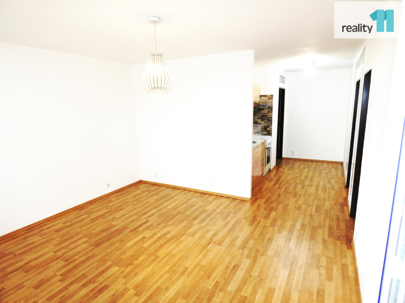 K pronájmu zrekonstruovaný byt 3+kk, 47 m2, Nekvasilova, Pra - 4