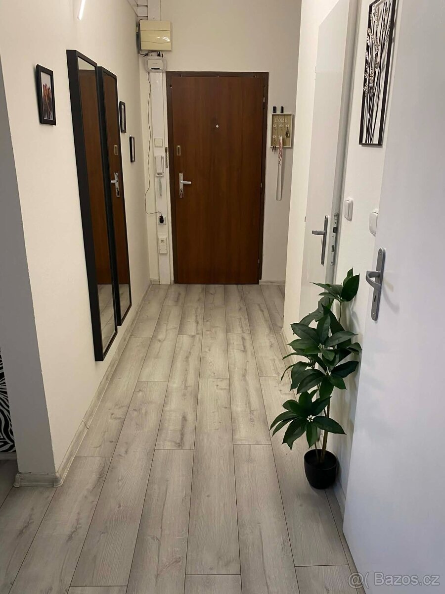 Prodam byt 3+1 Orlová - 4