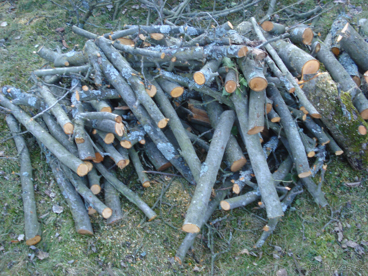 Dřevo na uzení - jabloň - 4