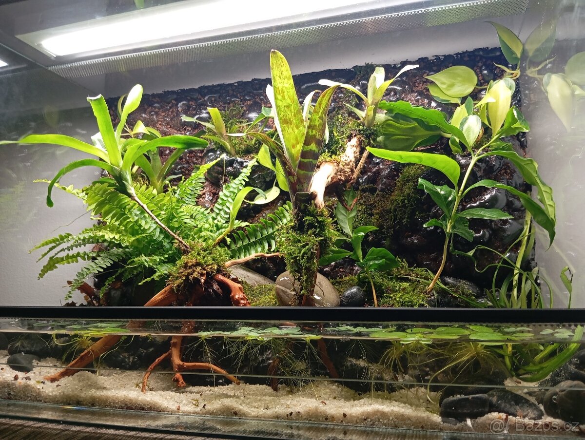 NOVÉ vybavené PALUDÁRIUM s vodopádem - 4