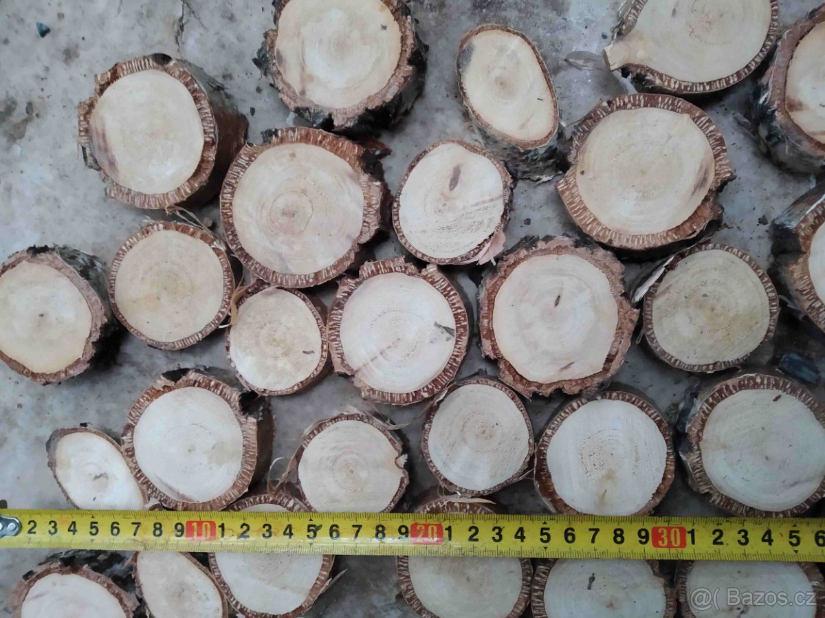 placky a kolečka z různého dřeva k vypalování,malování a pod - 4