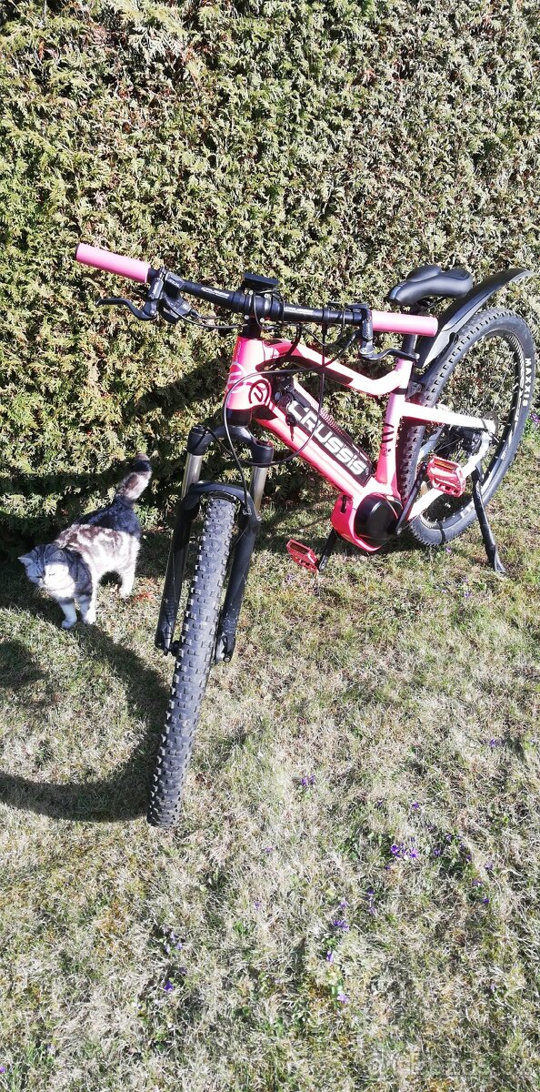 Elektrokolo CRUSSIS - 4