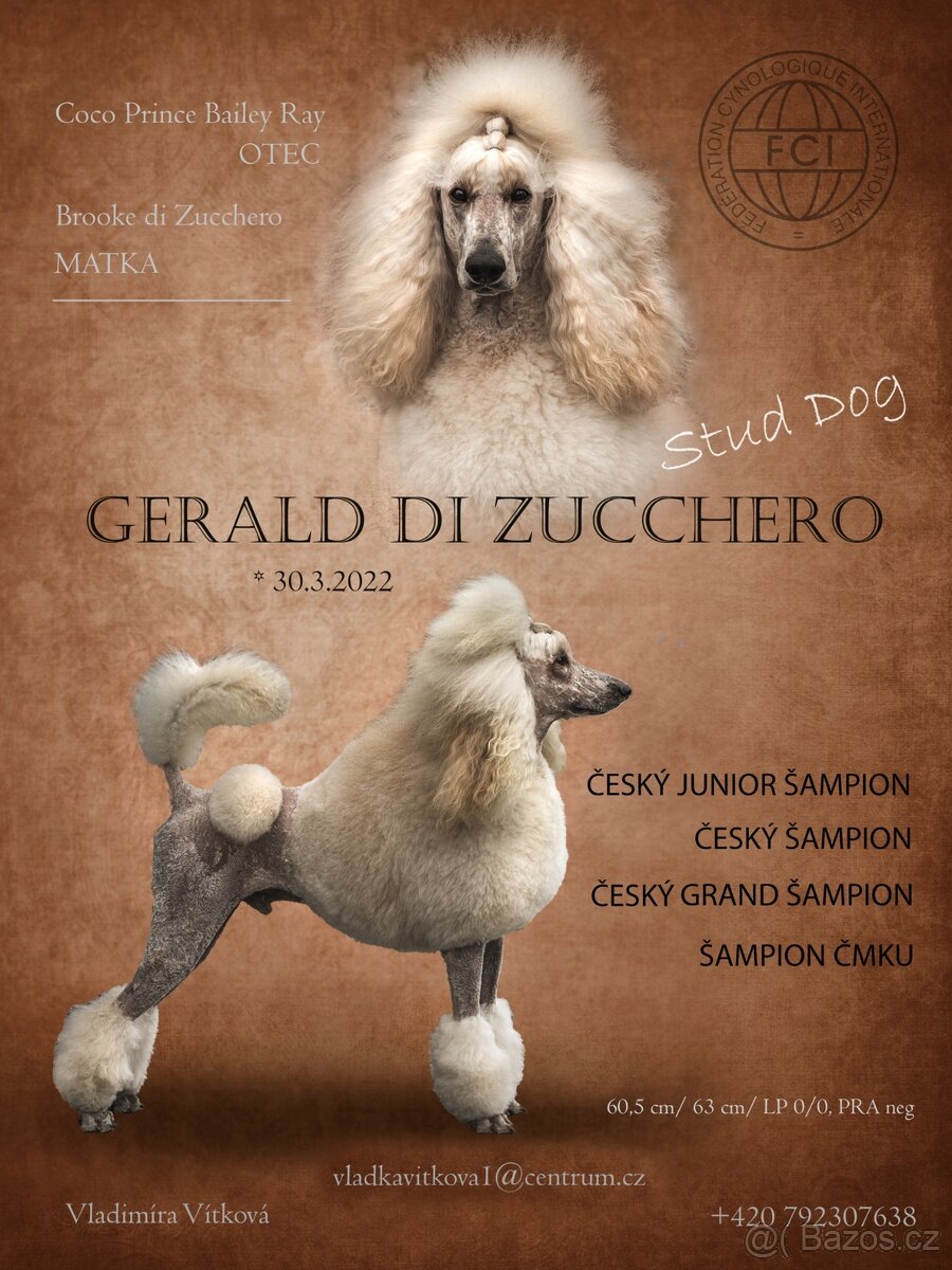 Pudl velký - 4