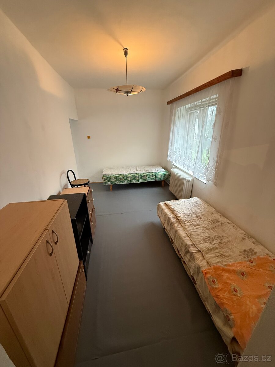 Pronájem - 4