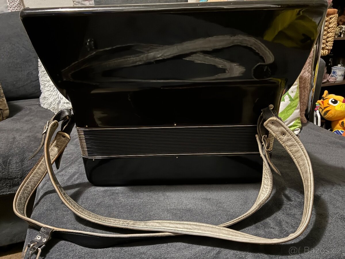 Harmonika Delicia Lignatone - 4