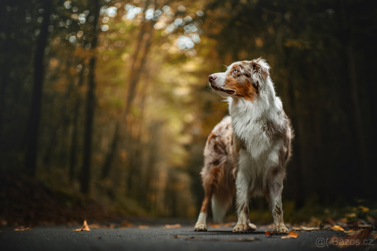 Meopta Meostigmat 65/1,7 Sony E a další - 4