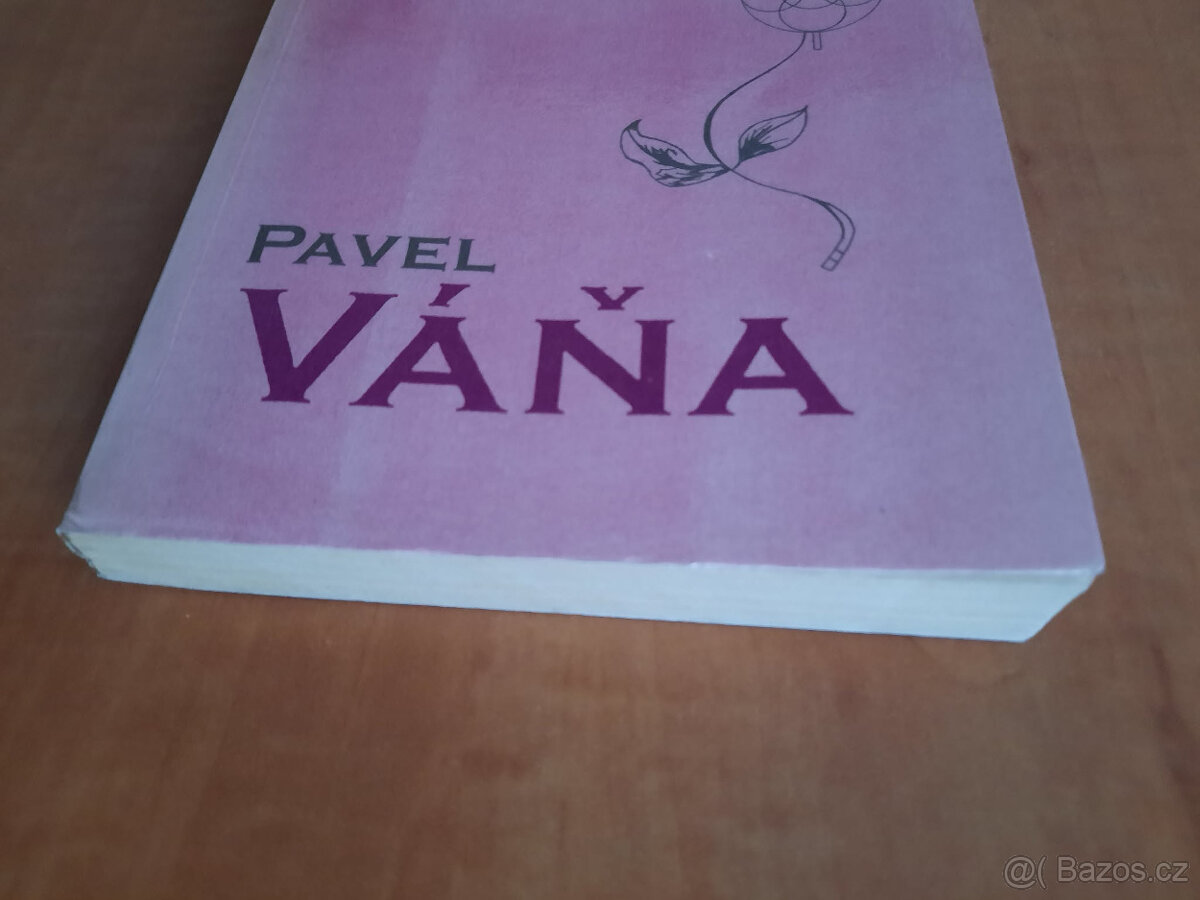 Pavlův bylinářský vševěd - 4