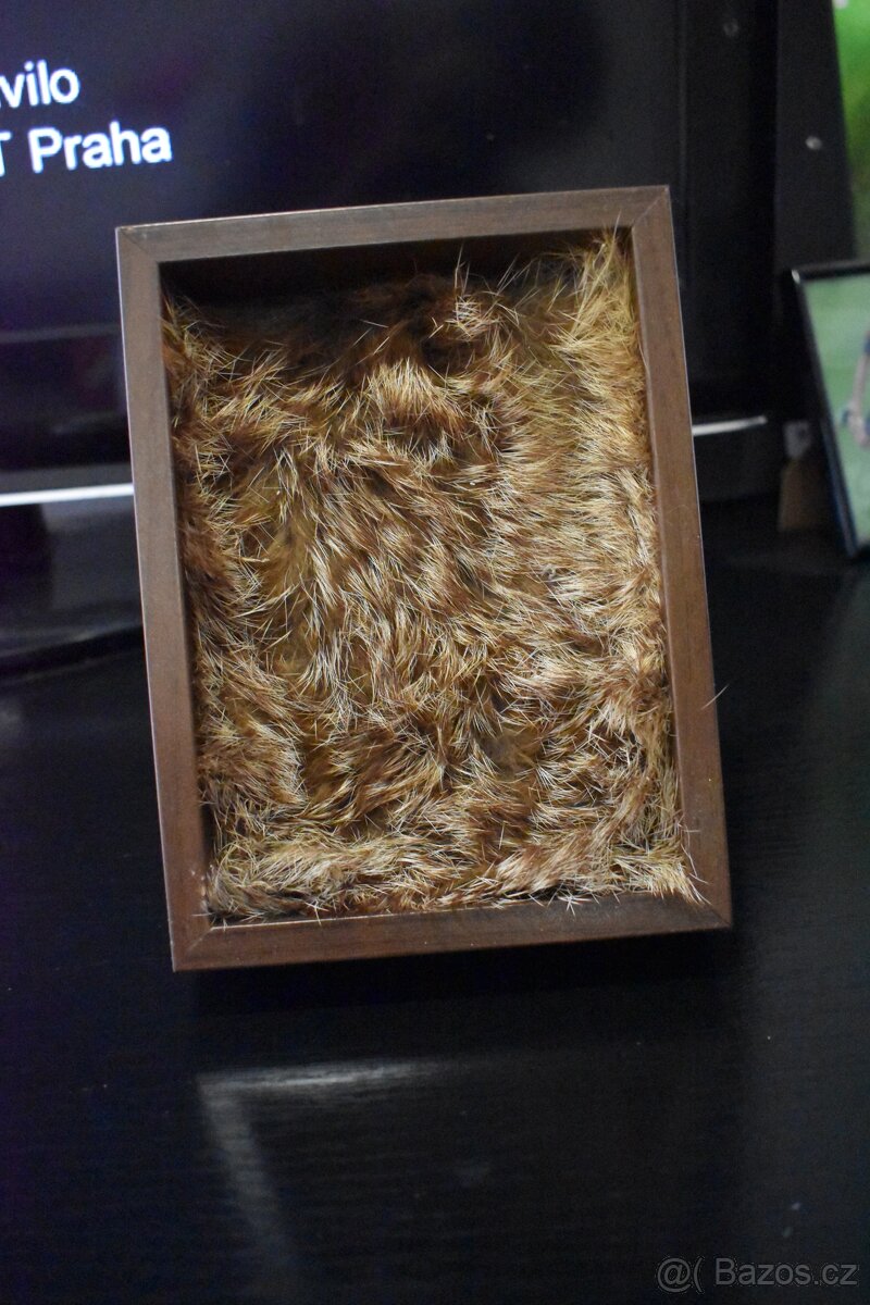 Dekorativní rámeček s lebkou - 4