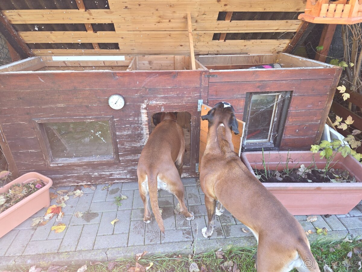 Psí bouda zateplená - 4