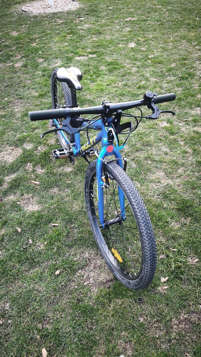 Amulet Tomcat 24" - 4