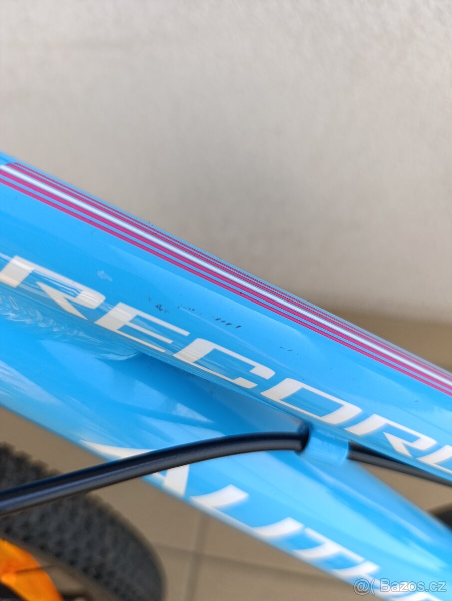 Author Record 16" - 4