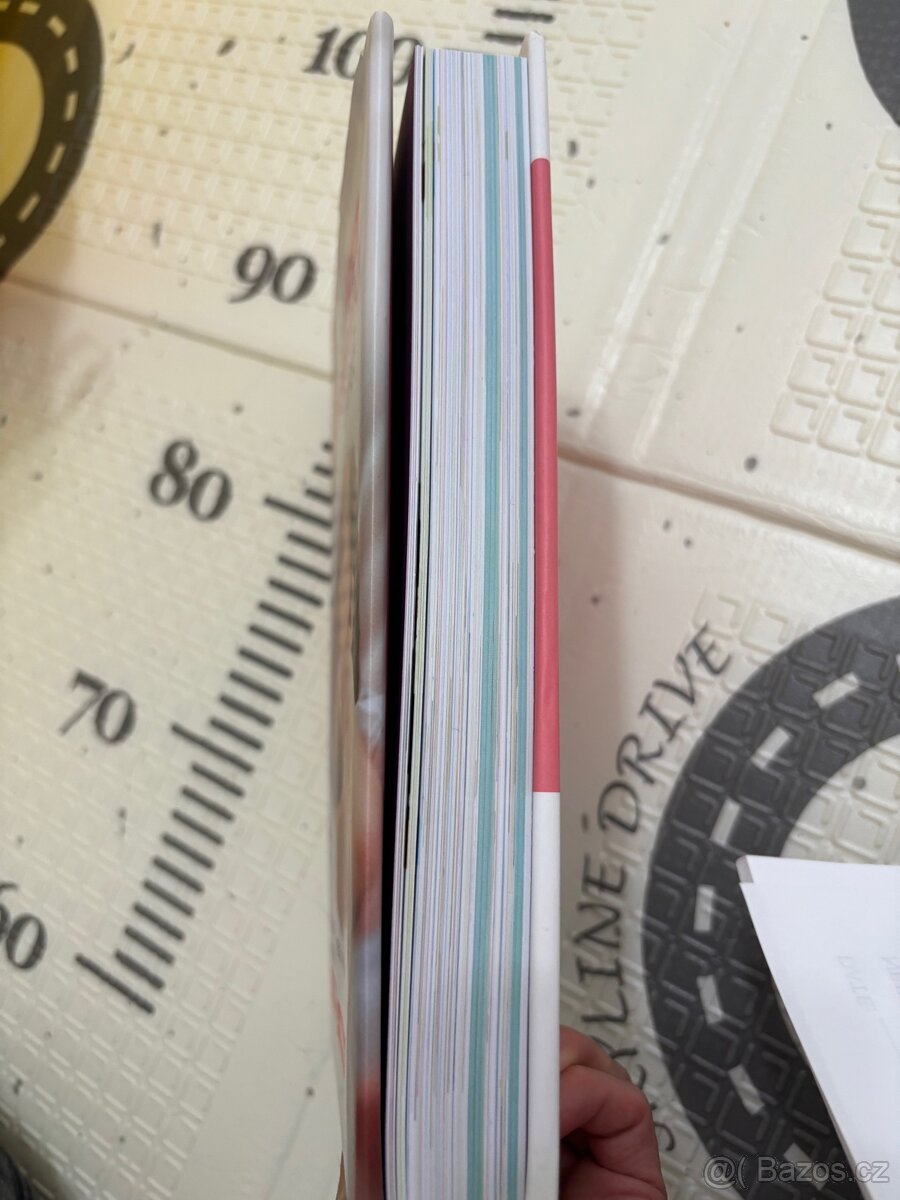 Your New Pregnancy Bible (anglicky) - 4