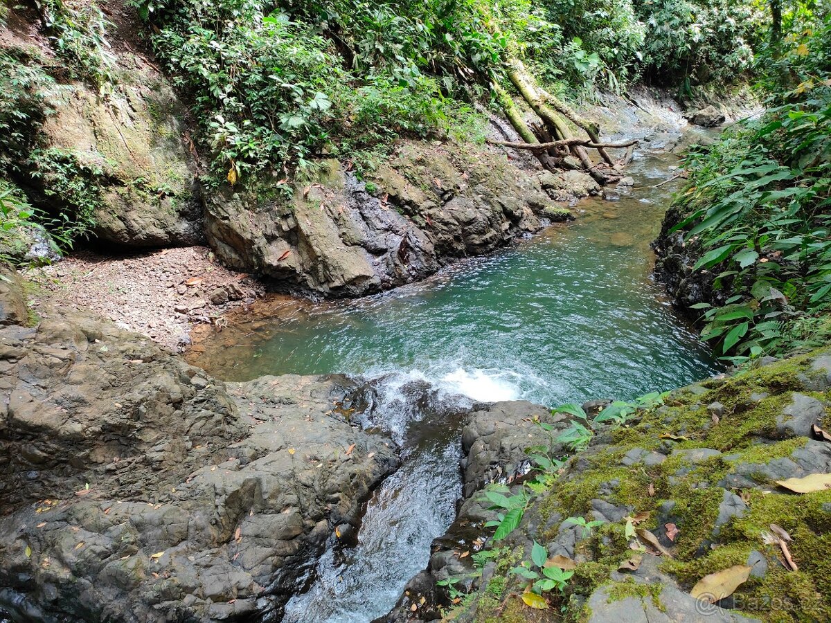 Farma Kostarika Golfito - 4