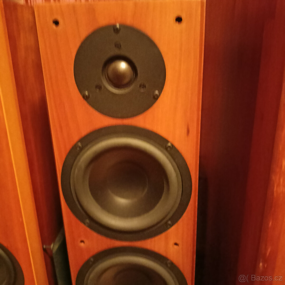 Tannoy Revolution R2 - 4
