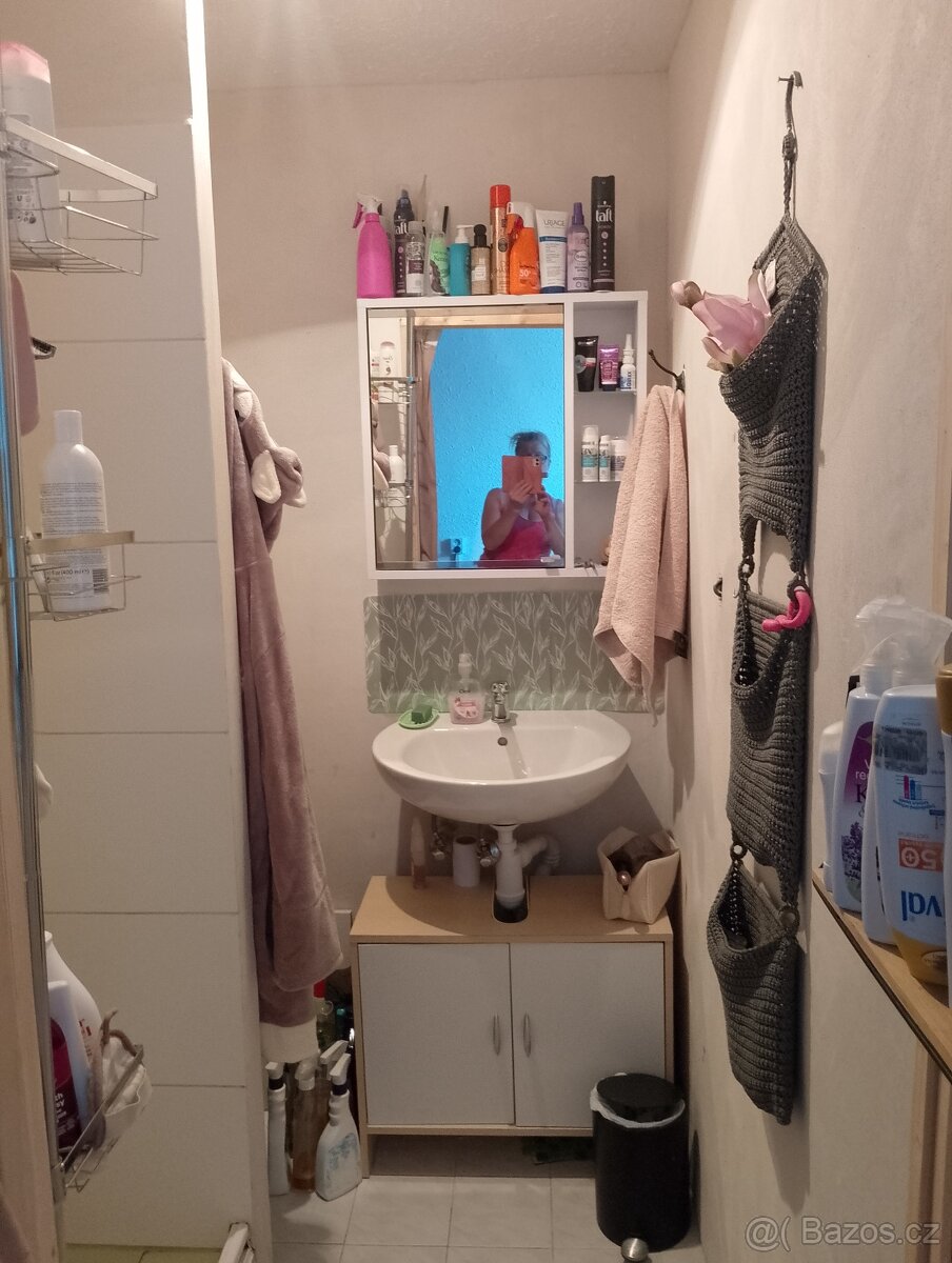 Pronájem / bez realitky/bytu 2+1 a šatník a balkon a .65 m2 - 4