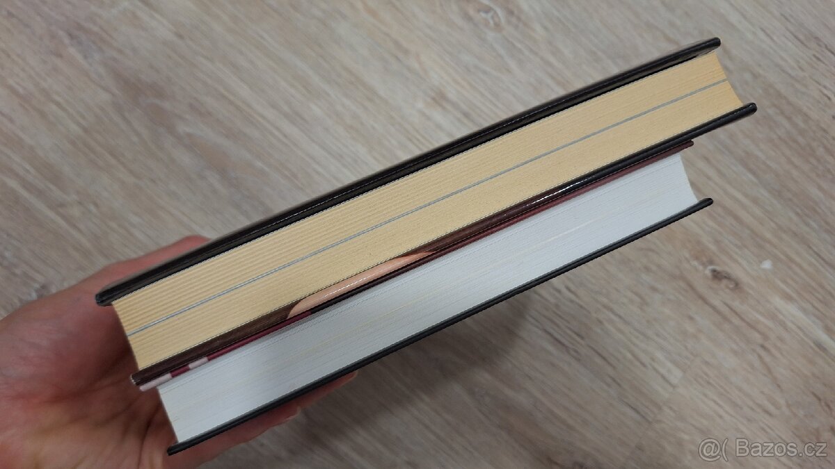 2 knihy o kapele Slade - 4