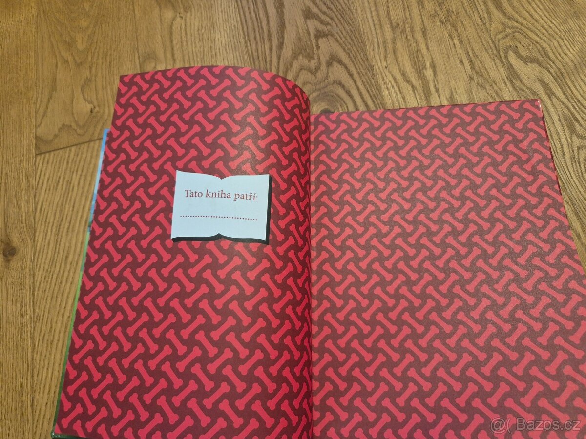 Knížka Tlapková patrola - Marshall zachraňuje - 4