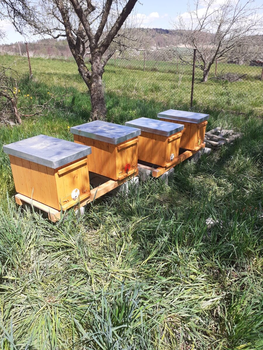 Včelí oddělky jaro 2026 - 4