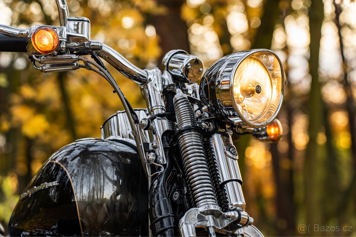 Harley - Davidson Springer CVO 110 - 4