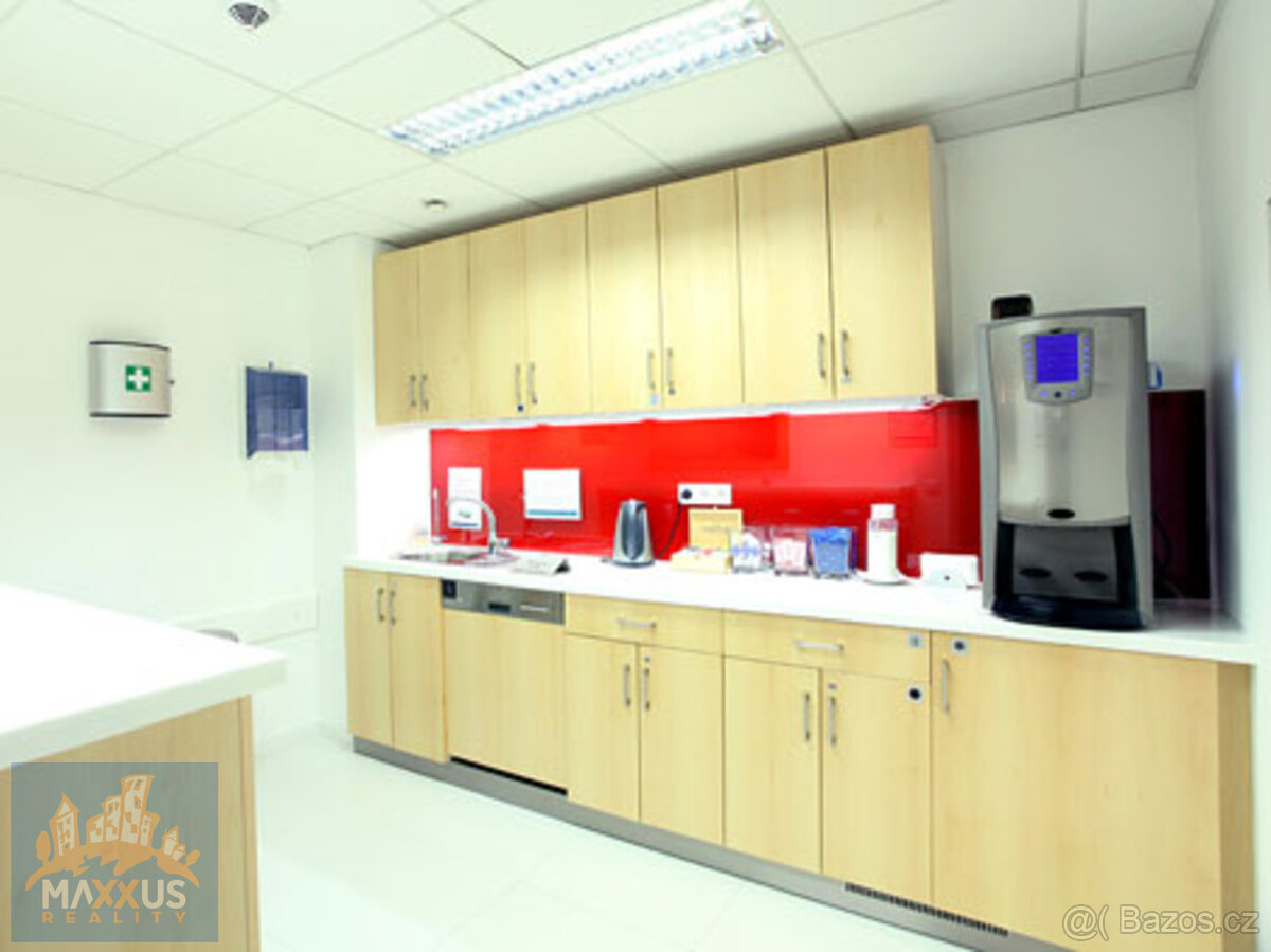 Pronájem reprezentativních kancelářských prostor, Praha 1 - - 4