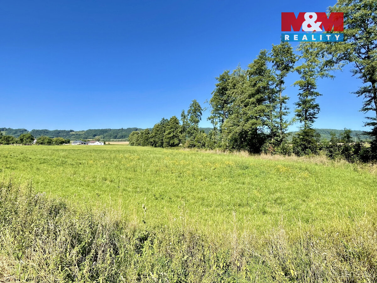 Prodej pozemku k bydlení, 5033 m², Damníkov - 4