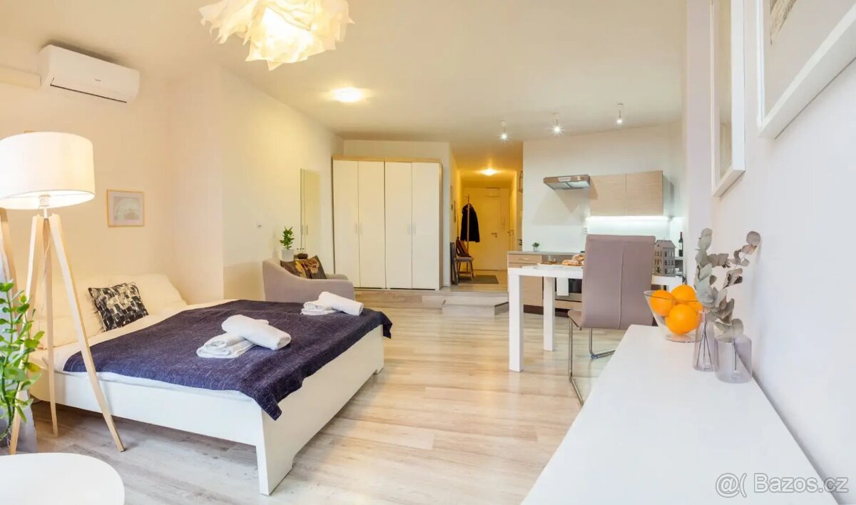 Pronájem bytu 1+kk 40 m² - 4