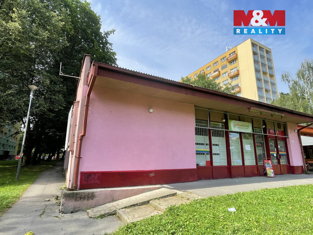 Pronájem obchod a služby, 166 m², Ostrava - 4