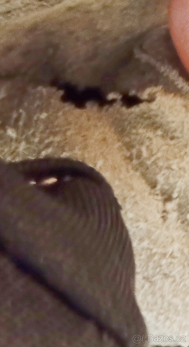 Rukavice CCM JS FT350 10" - 4