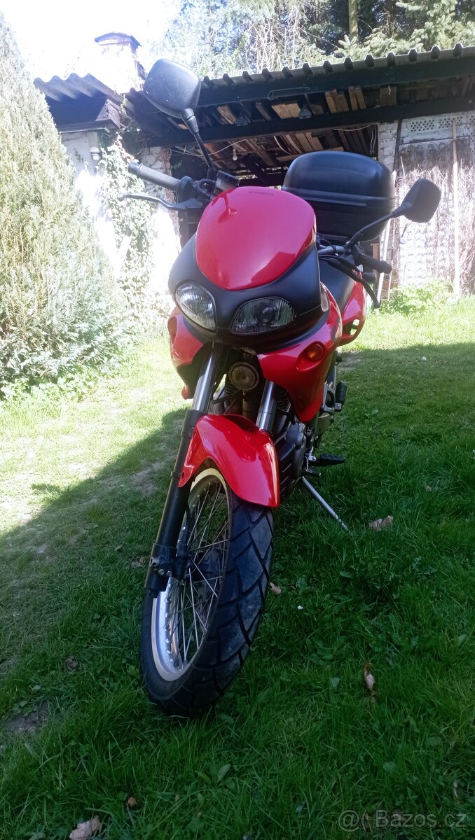 Cagiva Canyon 500 - 4