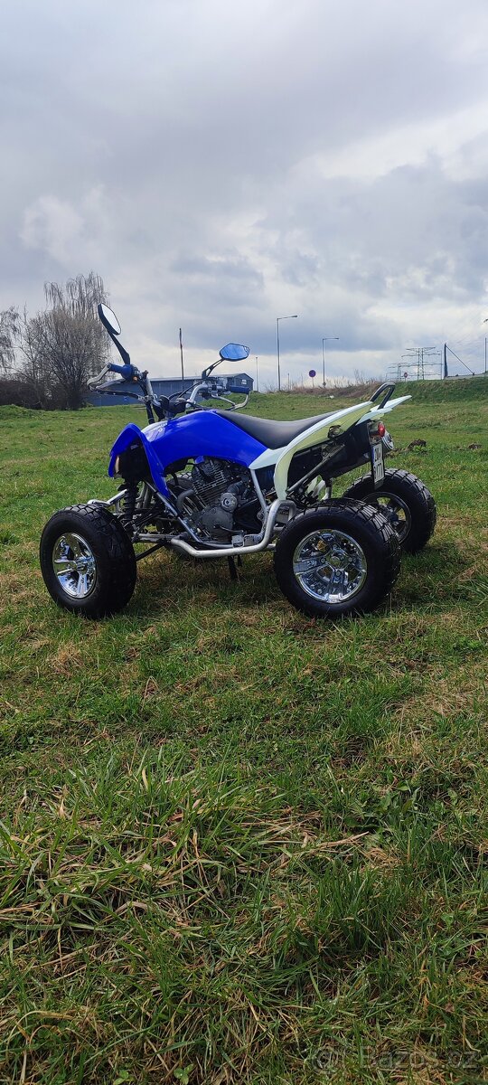 Yamaha YFM 250 Raptor