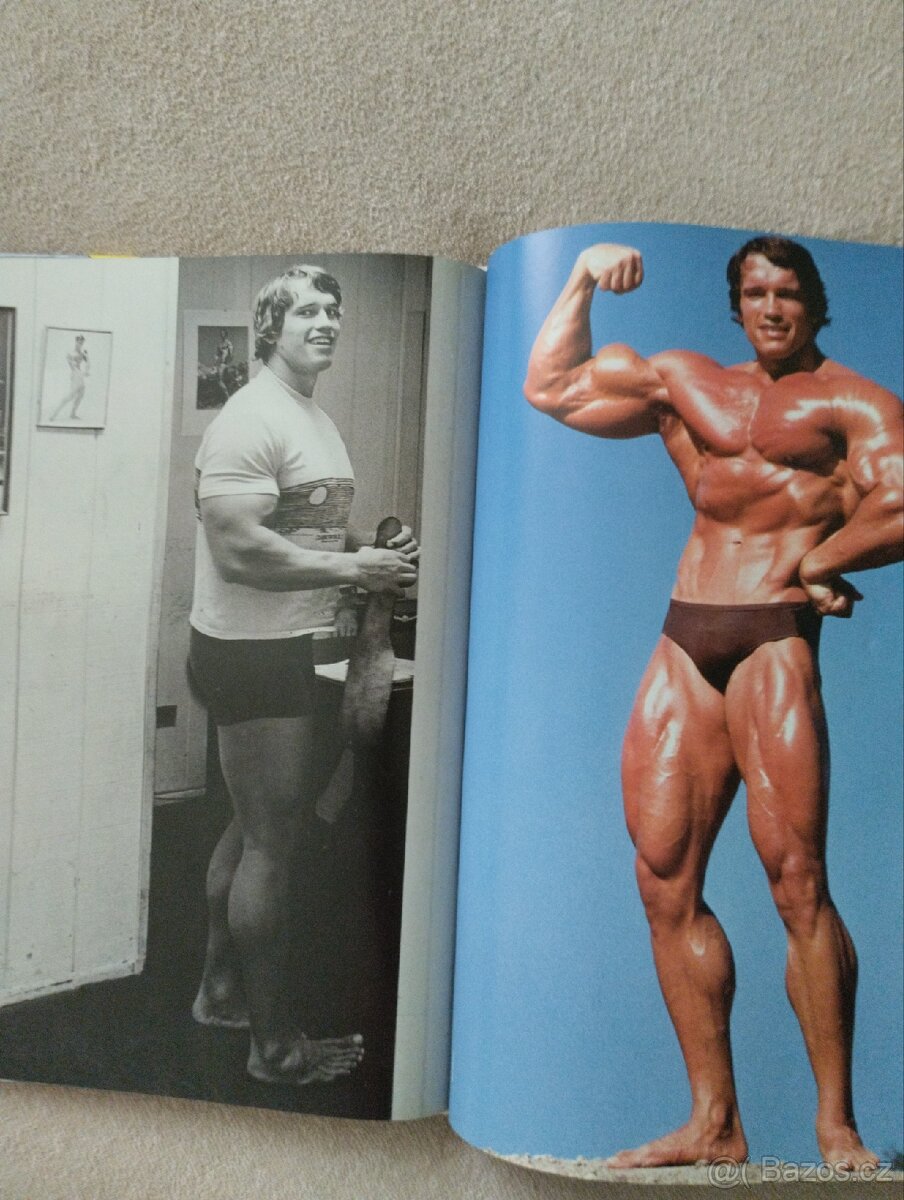 Arnold Schwarzenegger - 4