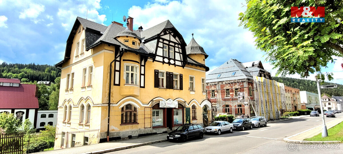 Prodej bytu 1+1, 33 m2, Josefův Důl - 4