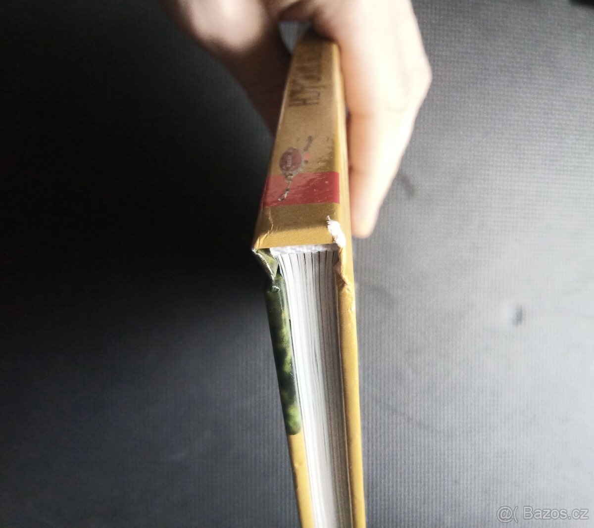 Přívlač na mimopstruhových vodách - 4