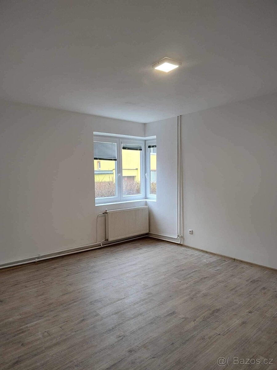 Dlouho pronájem - 4