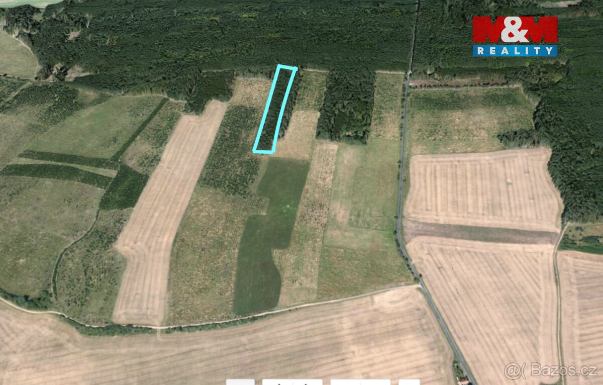 Prodej lesa, 6619 m², Řeřichy - 4