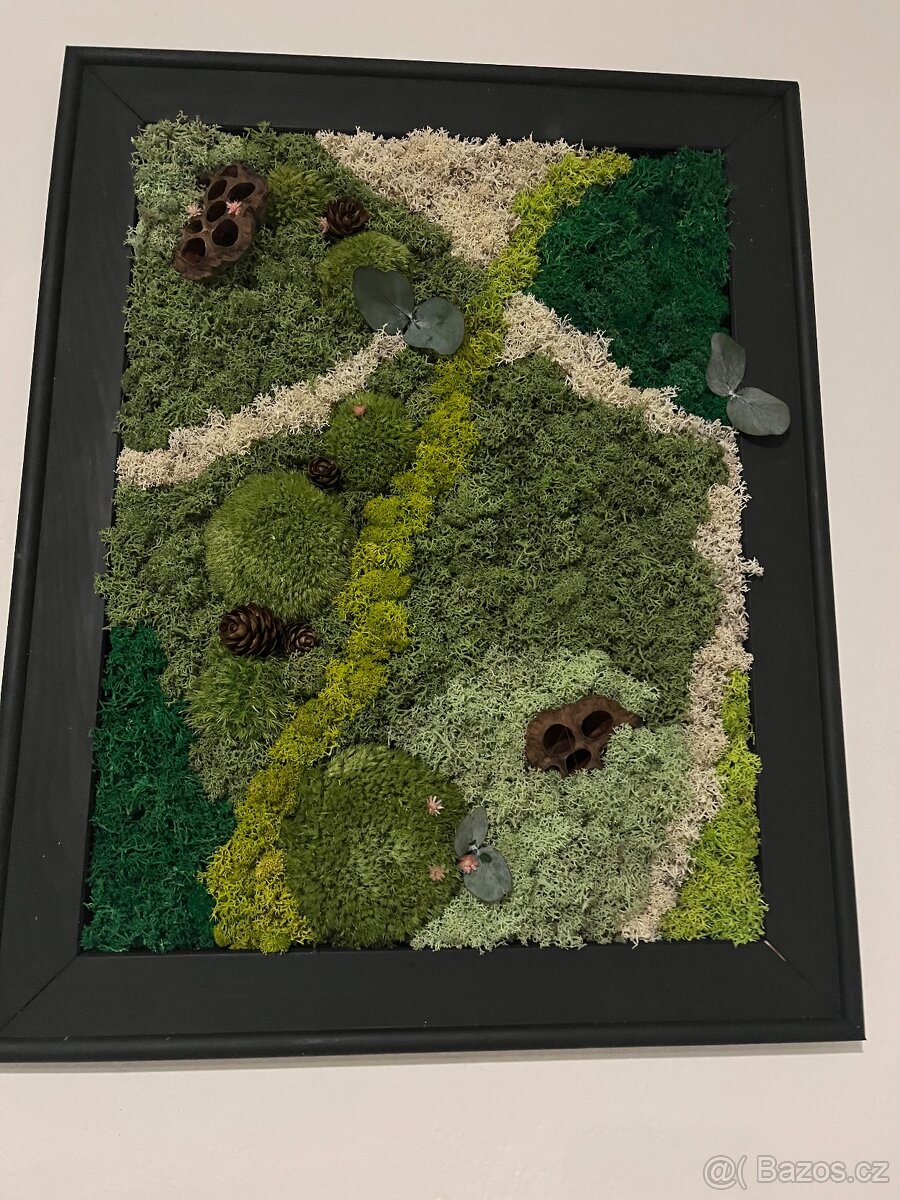 Set mechových obrazov - 4