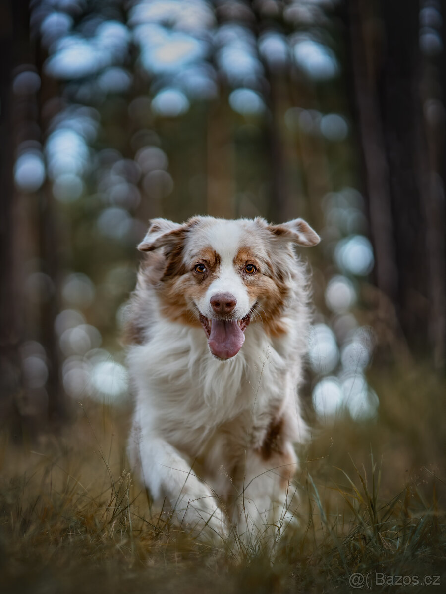 Meopta Meostigmat 92/1,7 Sony E a další - 4