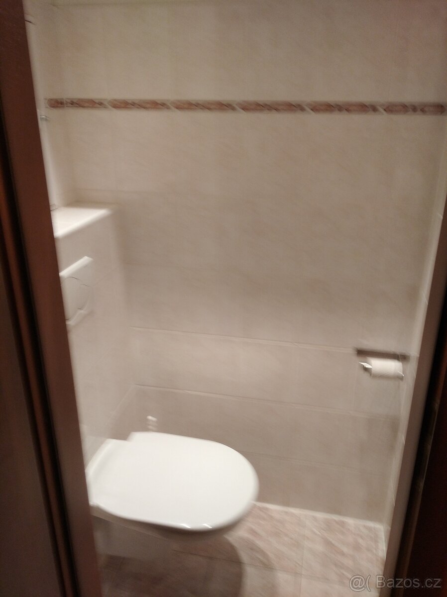 Pronajmu byt 2+1 - 4