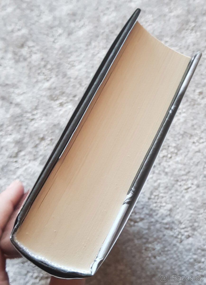 Rozzlobený bůh (L. J. Shen) - 4