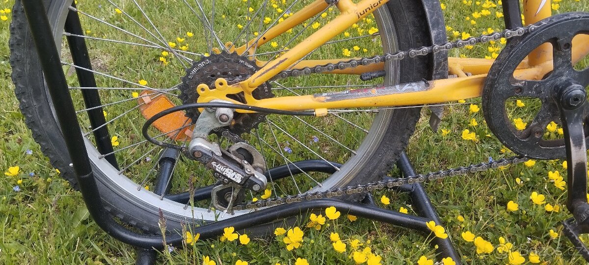 Author Energy 20" - 4