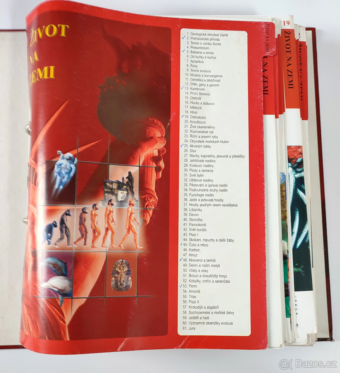 Šanony sběratelské Planeta Zemeě - 8 kusů - 4