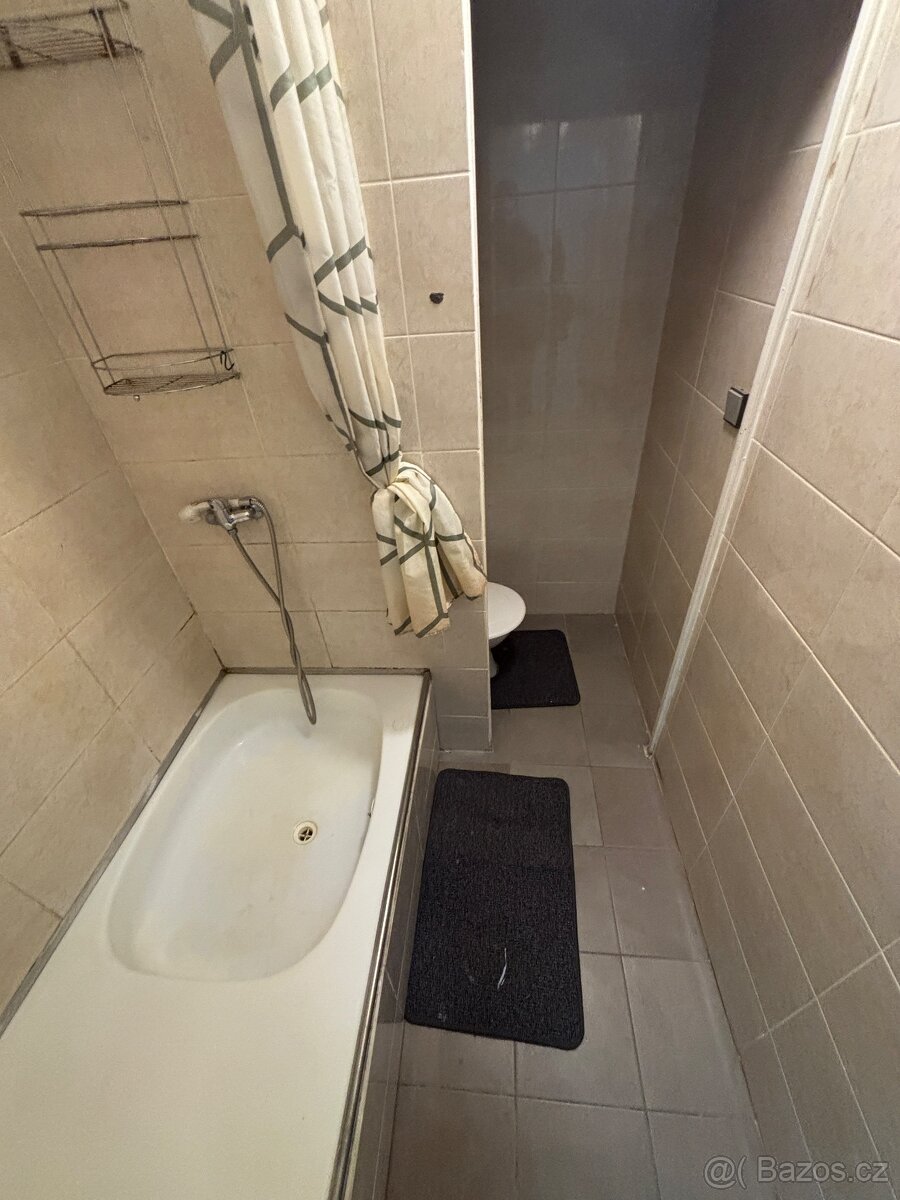 1+KK 19,3 m2 Kostnická - 4