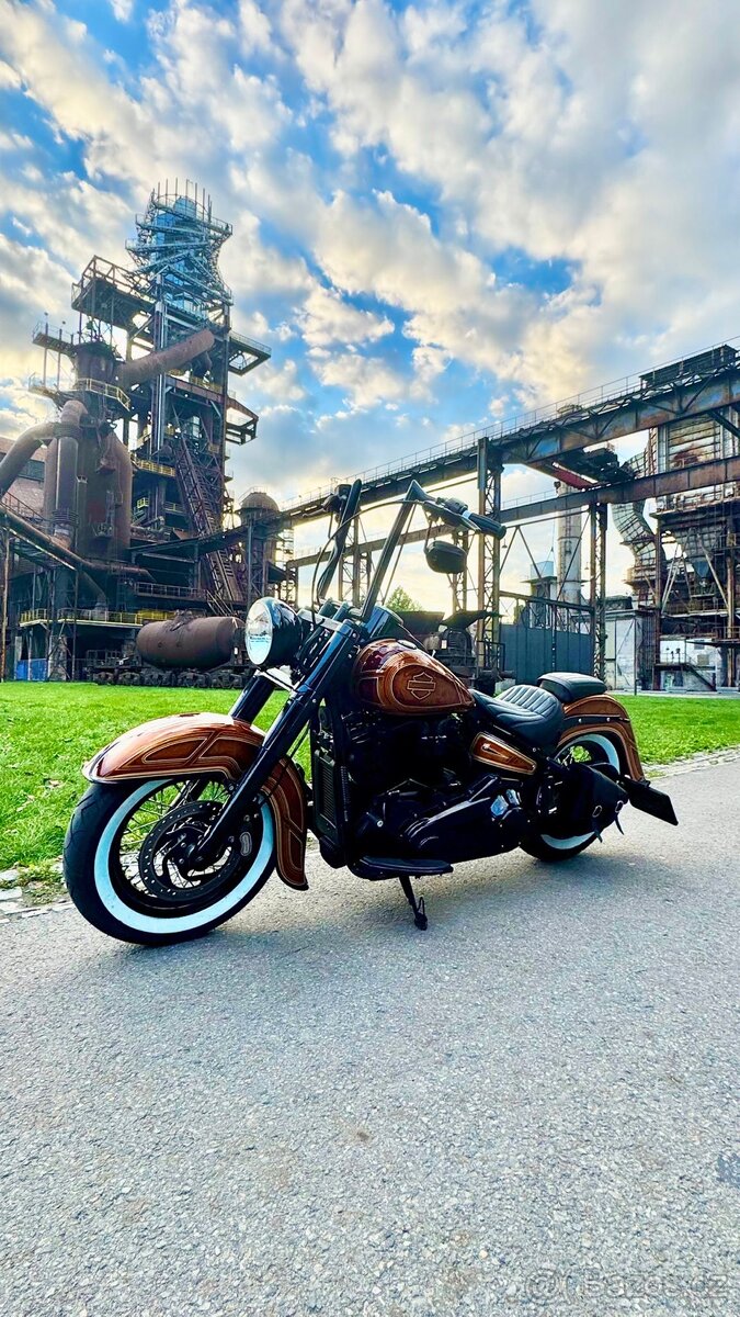 Harley Davidson Softail Slim m8 107” - 4