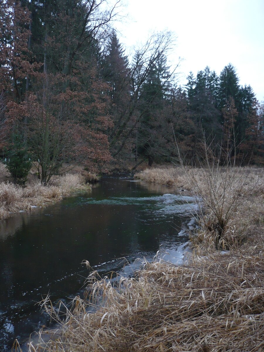 Nivní louka-Klokočov - 4