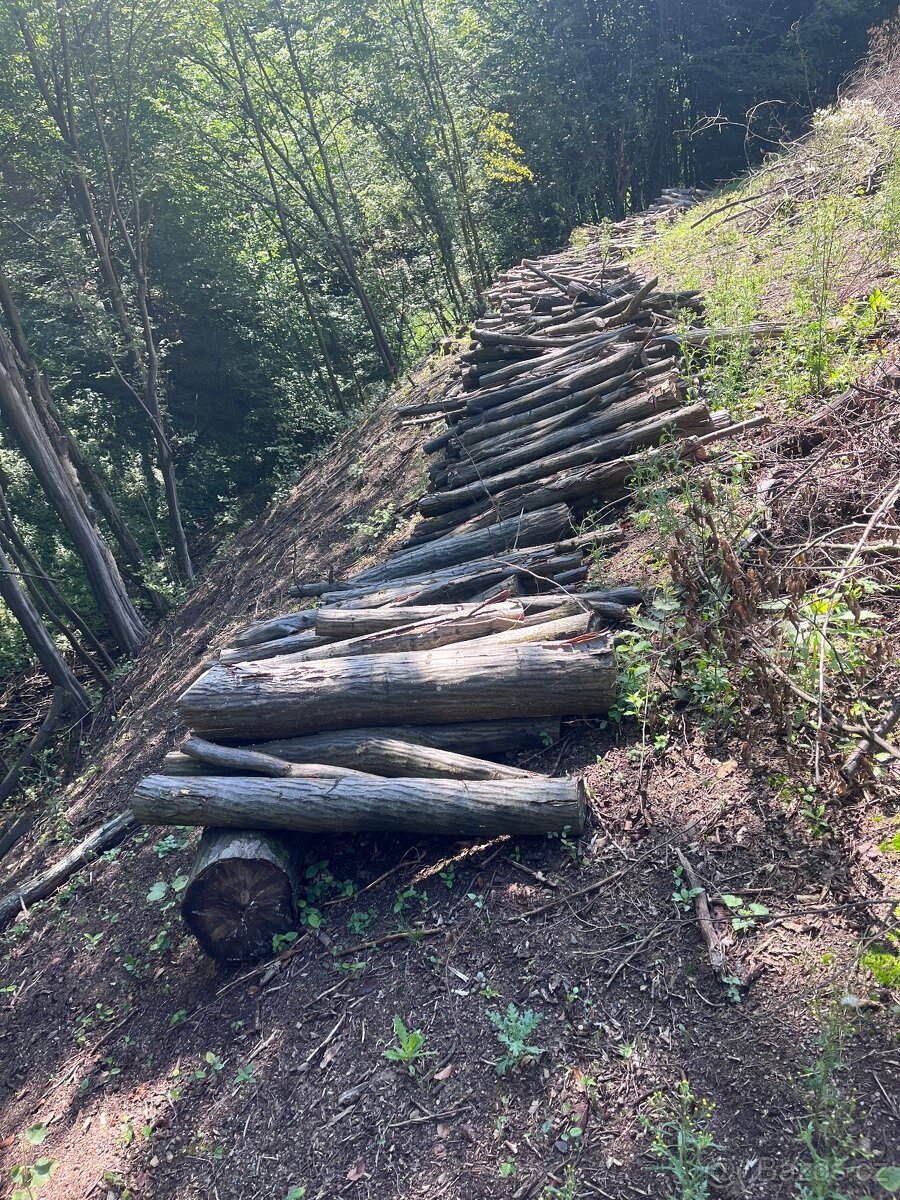 Prodej palivového dřeva - 4