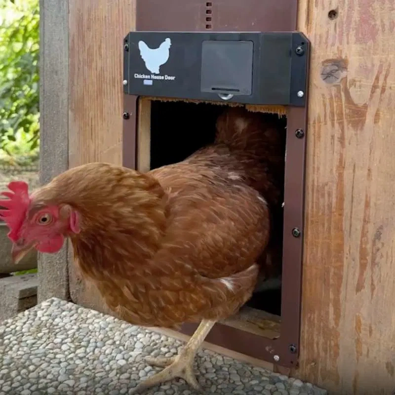 AUTOMATICKÁ DVÍŘKA KURNÍKU - 4