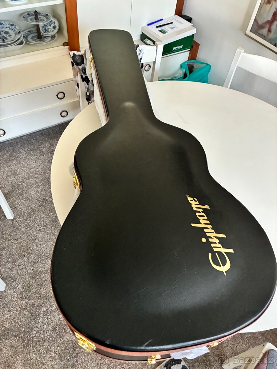 Epiphone Ft120 - 4