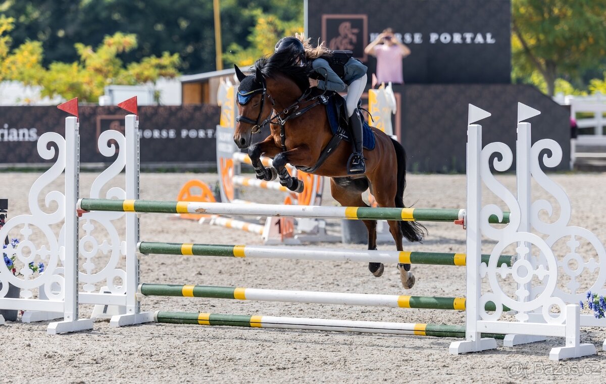 Sportovni pony B - 4